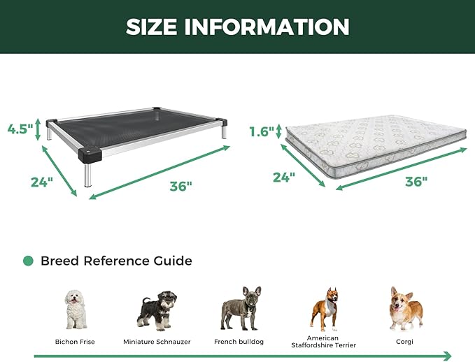 FXW TitanNest Chew-Proof Elevated Dog Bed, Raised Cot for Indoor/Outdoor/Camping Use, Durable & Waterproof Cooling Pet Bed with Exclusive Reuseable Cover for Small Dogs, 36.0"L x 24.0"W x 4.5"H, Black