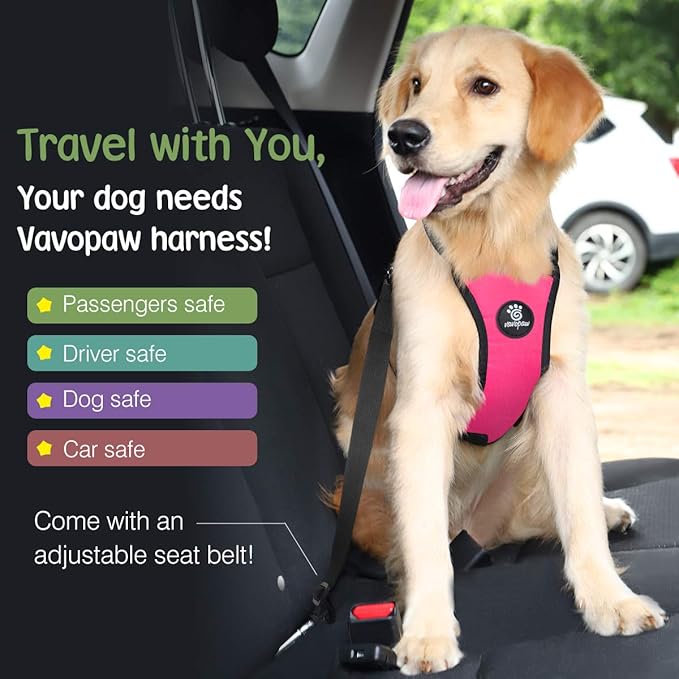 Dog Seat Belt, Safety Vest Dog Car Harness with Adjustable Buckle Dog Seat Belt for Vehicle Nylon Pet Safety Seat Belts Heavy Duty(S, Magenta)