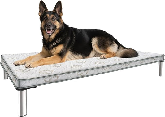 FXW TitanNest Chew-Proof Elevated Dog Bed, Raised Cot for Indoor/Outdoor/Camping Use, Durable & Waterproof Cooling Pet Bed with Exclusive Reuseable Cover for Large Dogs, 50.0"L x 31.0"W x 7.3"H, Black