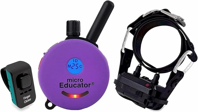 Educator E-Collar Humane Dog Training Collar with Remote, 100 Safe Tapping Stimulation Levels, Night Light, Waterproof, Rechargeable, 1/3 Mile 1 Small Dog Double Bungee Collar Bundle, Purple