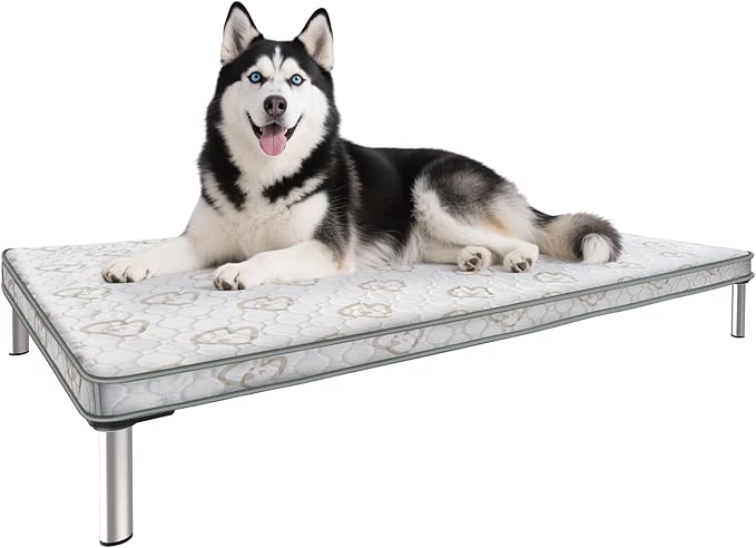 FXW TitanNest Chew-Proof Elevated Dog Bed, Raised Cot for Indoor/Outdoor/Camping Use, Durable & Washable Padded Pet Bed with Exclusive Reuseable Cover for Medium Dogs, 42.0" L x 27.0" W x 5.0" H, Gray