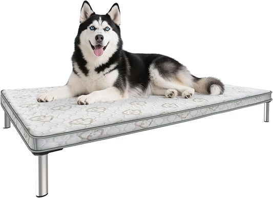 FXW TitanNest Chew-Proof Elevated Dog Bed, Raised Cot for Indoor/Outdoor/Camping Use, Durable & Washable Padded Pet Bed with Exclusive Reuseable Cover for Medium Dogs, 42.0" L x 27.0" W x 5.0" H, Gray