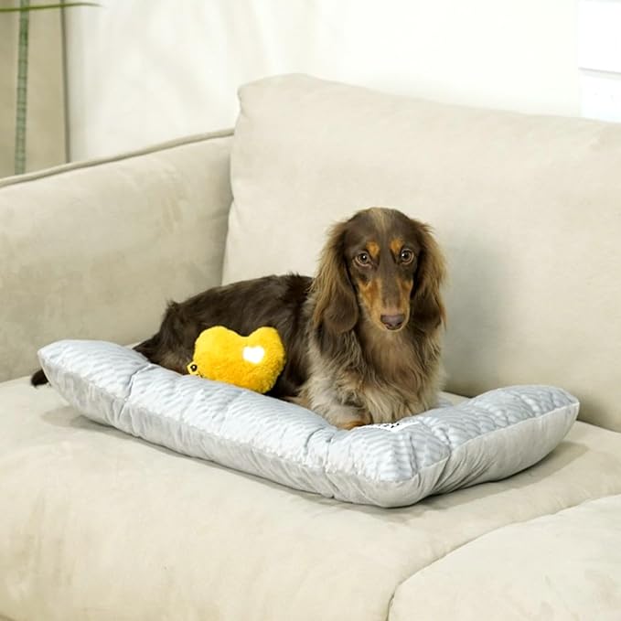 FUNNY FUZZY 2 in 1 Dog Bed Crate Pad Mat, Washable Reversible Floor Pet Mats,Fluffy Kennel Pad for Small Large Sized Dog,Indoor Cats,Sleeping Mattress, 23.6" × 17.9", Light Grey