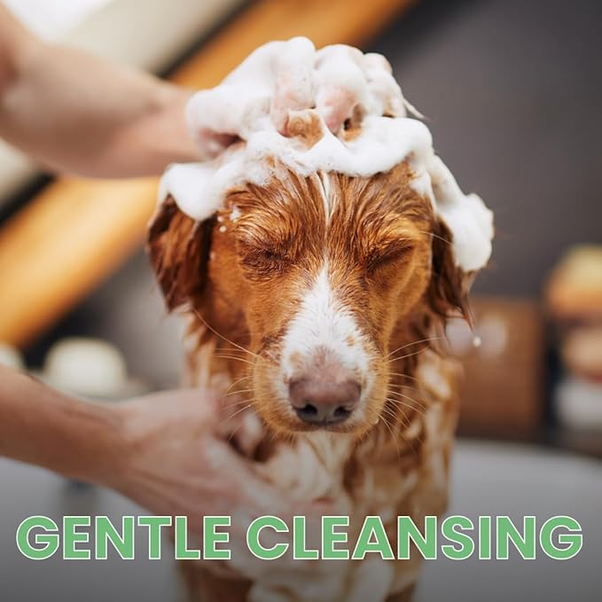 Scentament Spa Seasonal Facial & Body Wash, Berry Amaretto, 16 oz (S55-16oz)