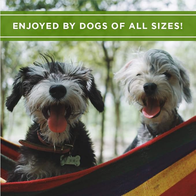 Peanut Butter & Carob Chips Dog Treats – Healthy, Crunchy, Vegan Biscuits with Whole & Real Ingredients – All Natural & USA‐Baked, 4 Pound Bag