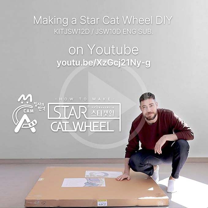 Star Cat Wheel, Cat Treadmill, Exercise Wheel for Running, Spinning, Scratching, and Climbing for Indoor Cats, Premium Birch Wood, Eco-Friendly, Moving Fish, Wide Running Track, 41.7 inch L Size