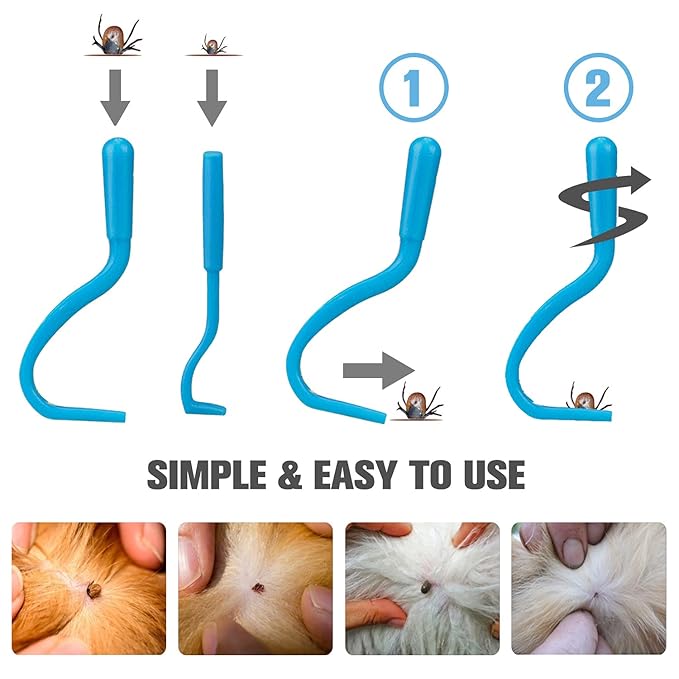 Cat & Dog Grooming Set - Fine Tooth Comb for Removing Dandruff Flakes & Hair (Blue)