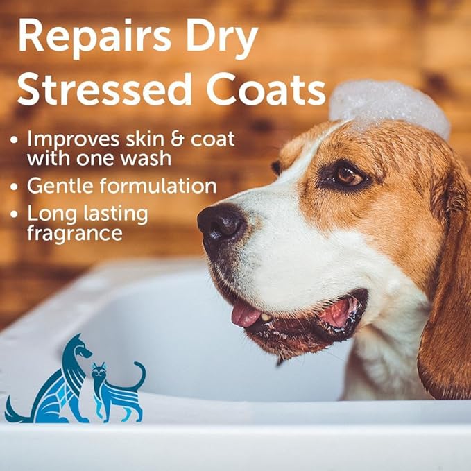 Nootie Sweet Pea and Vanilla Shampoo Gallon