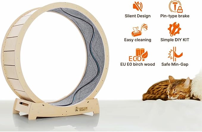 Star Cat Wheel, Cat Treadmill, Exercise Wheel for Running, Spinning, Scratching, and Climbing for Indoor Cats, Premium Birch Wood, Eco-Friendly, Moving Fish, Wide Running Track, 41.7 inch L Size