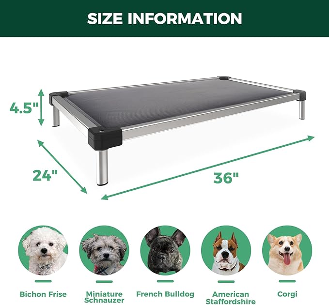 FXW TitanNest Chew-Proof Elevated Dog Bed, Raised Cot for Indoor/Outdoor/Camping Use, Durable & Washable Padded Pet Bed for Small Dogs, 36.0" L x 24.0" W x 4.5" H, Gray
