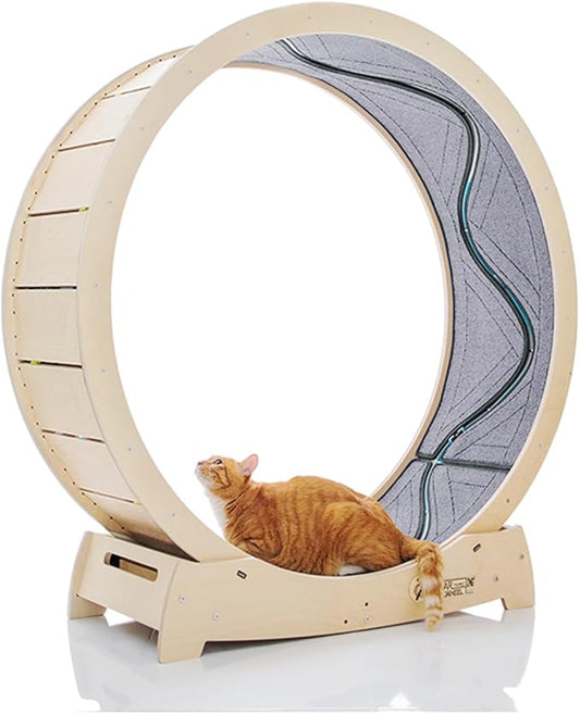Star Cat Wheel, Cat Treadmill, Exercise Wheel for Running, Spinning, Scratching, and Climbing for Indoor Cats, Premium Birch Wood, Eco-Friendly, Moving Fish, Wide Running Track, 47.2 inch XL Size