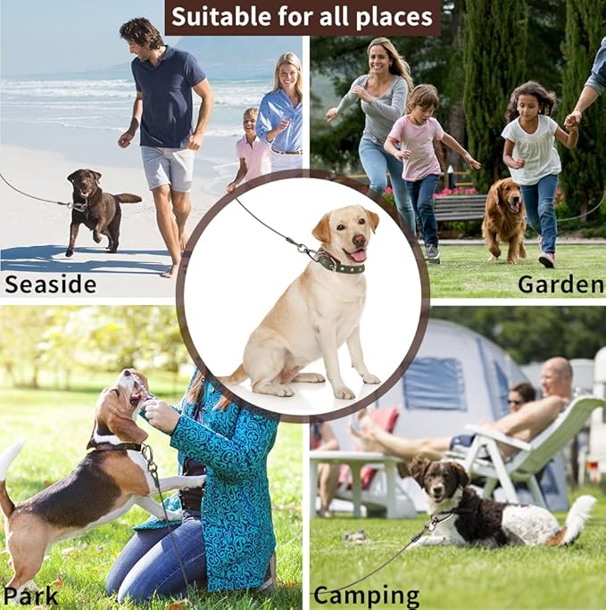 Dog tie Out Cable, 10/20/25/30/50/70/100 feet, Suitable for Dogs up to 350 pounds, Dog Cable with Swivel Buckle, Lightweight, Non-Winding, for Outdoor Camping, Yard Dog Cable (Black, 100FT)