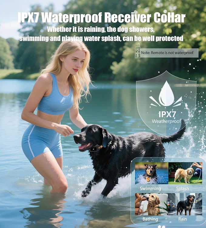 Dog Training Collar with Remote 4200FT 3 Dogs - Shock Collar for Barking Control, 4 Modes(Beep/Vibe/Static), IPX7 Waterproof for Swimming, 30-Day Rechargeable Battery, Adjustable for Small to XL Dogs