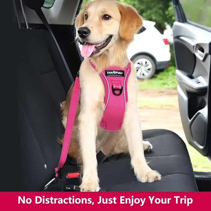Dog Seat Belt Harness for Car, Dog Car Harness Adjustable Mesh Breathable & Dog Seatbelt Safety Tether with Elastic Bungee for Small Medium Large Pets(Rose, M)