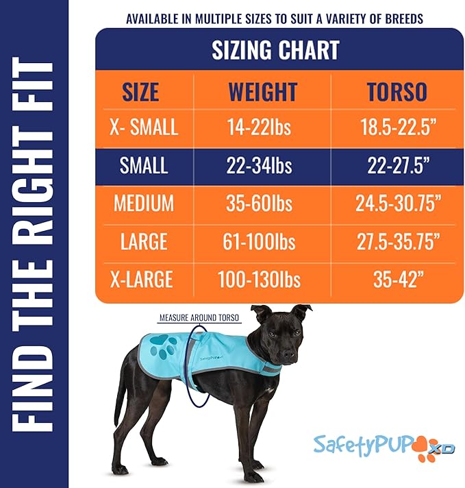 Dog Reflective Vest – Hi-Vis Fluorescent Visibility That Helps to Safeguard Your Pet On/Off Leash in Urban & Rural Areas (Teal, Small)