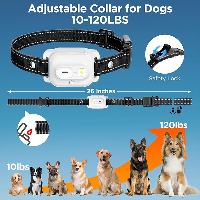 Dog Shock Collar 2 Dogs, 3300ft Dog Training Collar with Remote, IPX7 Waterproof Rechargeable Sleek Modern for All Dogs with Beep, Vibration, Safety Shock, Light Mode, 8-120 lbs NF