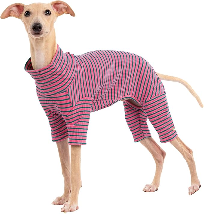 Dog Sweaters for Small Dogs Girls Boys, Striped Pet Sweaters for Fall Winter Dog Clothes, Turtleneck Pullover Knitwear for Small Medium Large Dogs