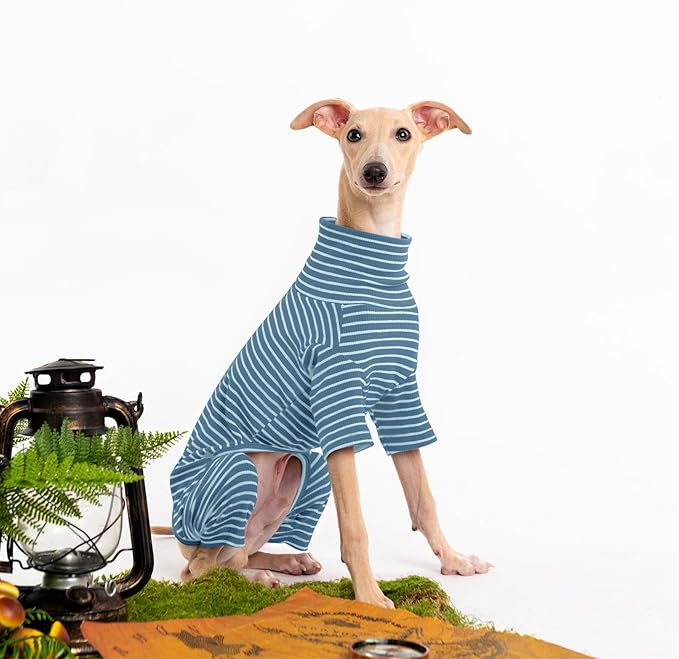 Dog Sweaters for Small Dogs Girls Boys, Striped Pet Sweaters for Fall Winter Dog Clothes, Turtleneck Pullover Knitwear for Small Medium Large Dogs