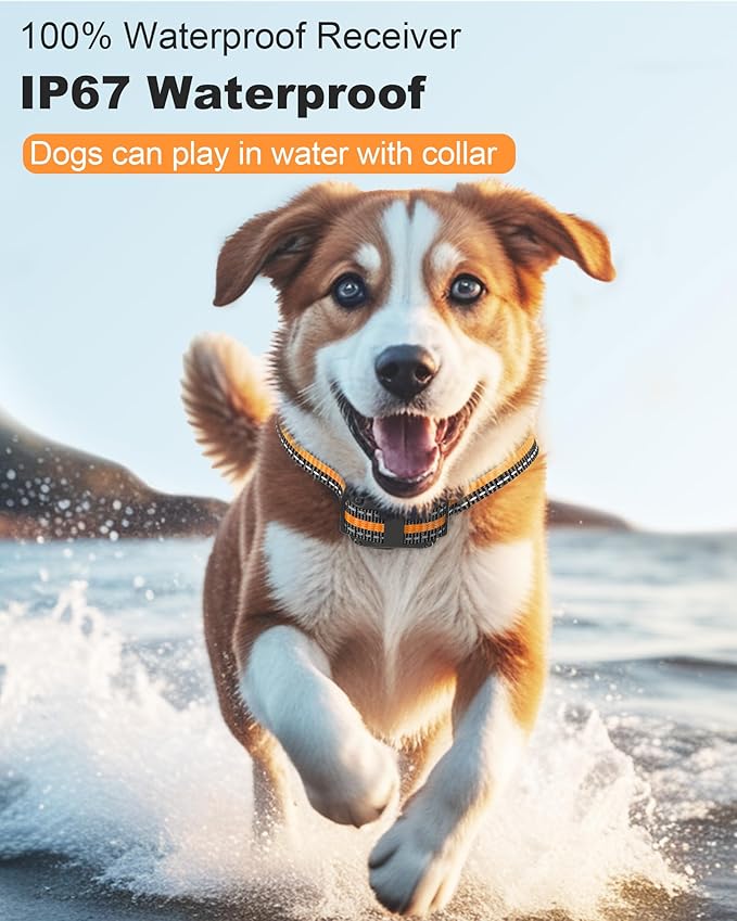 Dog Shock Collar with Remote Control - 3300FT Rechargeable IP67 Waterproof Training Collar for Dogs 8-120 lbs with Beep, Vibration, Shock, Flashlight