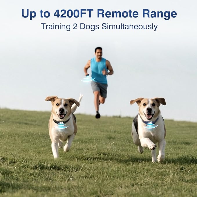 Dog Training Collar 2 Dogs with 3 Night Lights-4200FT E Collar for Dogs Training, 4 Powerful Modes with 119 Training Levels Rechargeable Electric Dog Collar for 20-140 lbs Dogs