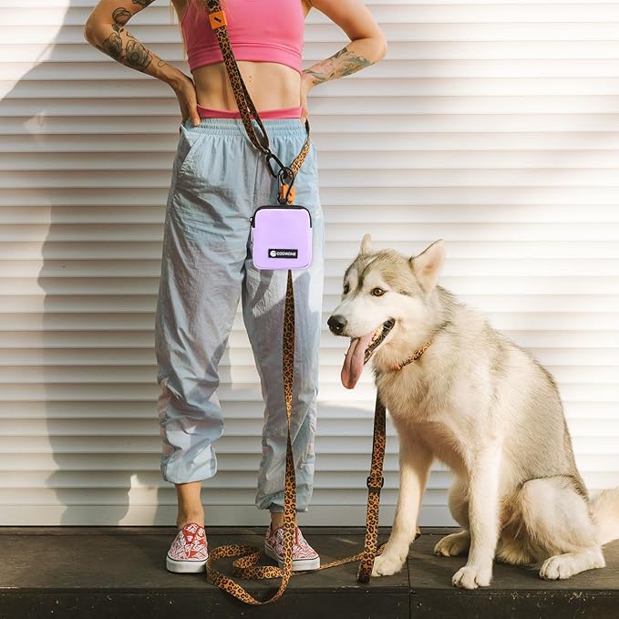 Dog Treat Pouch 2 PCS, Waterproof Small Dog Treat Bag for Leash, Hands Free Puppy Walking Bag with Carabiner, Pet Poop Bag Holder for Pet Puppy Travel or Outdoor Use, Zipper Closure to Avoid Spilling