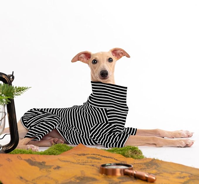 Dog Sweaters for Small Dogs Girls Boys, Striped Pet Sweaters for Fall Winter Dog Clothes, Turtleneck Pullover Knitwear for Small Medium Large Dogs