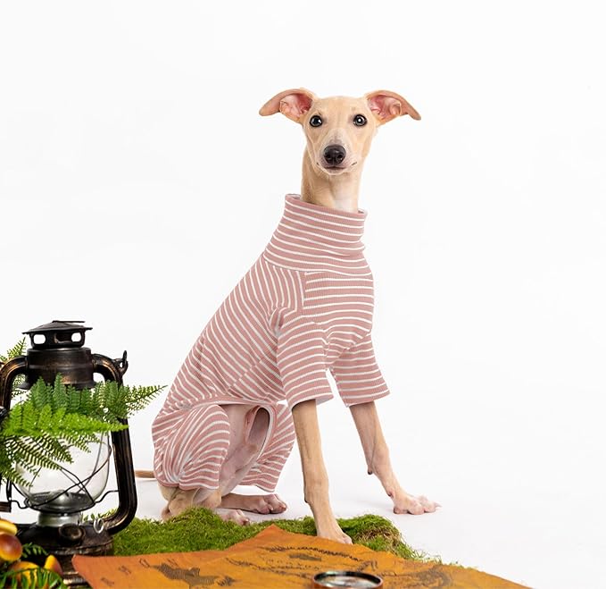 Dog Sweaters for Small Dogs Girls Boys, Striped Pet Sweaters for Fall Winter Dog Clothes, Turtleneck Pullover Knitwear for Small Medium Large Dogs