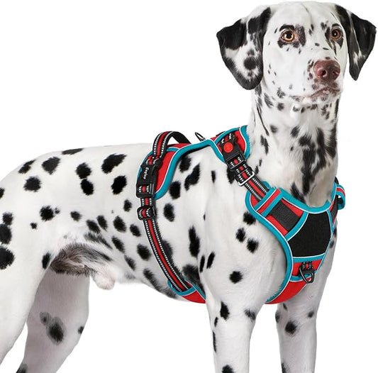 Eagloo Dog Harness for Large Dogs, Easy Wearing with 3 Buckles, Adjustable No Pull Pet Harness with 2 Rings for Walking, No Chock Reflective Soft Padded Vest with Control Handle, Red & Teal, XL