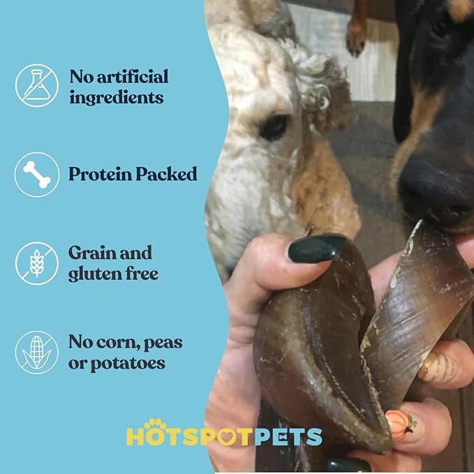 Full-Size Cow Hooves for Dogs | (10 Pack) All-Natural Long Lasting Dog Chews | Made from Grass Fed Cattle | Tasty Treat for Oral Hygiene | Fantastic Alternative for Rawhide and Bully Sticks