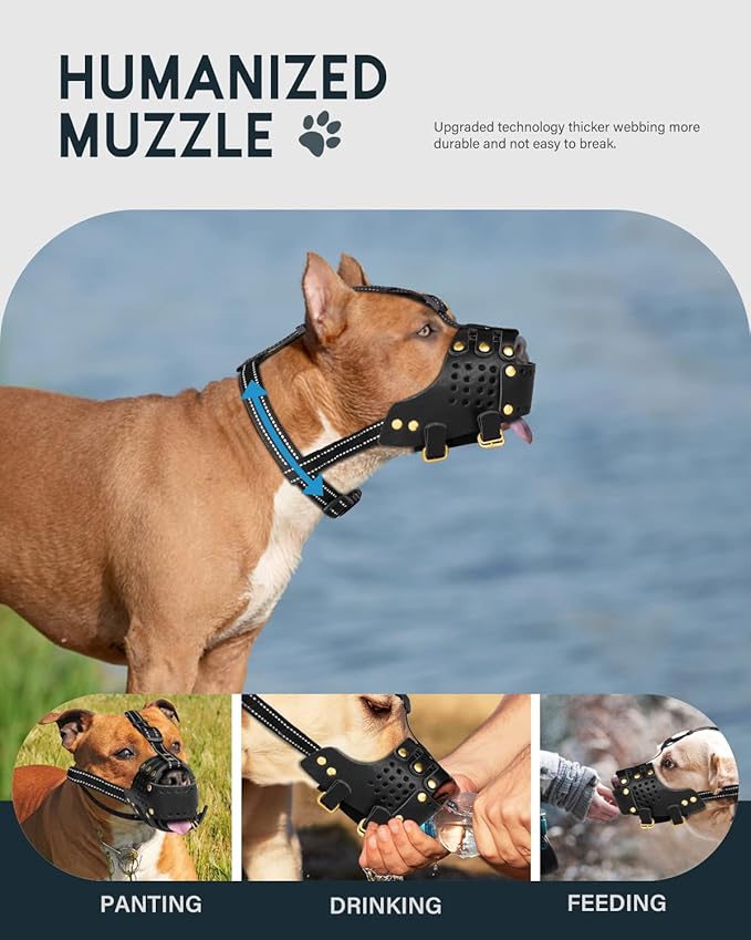 Dog Muzzle, Leather Basket Soft Muzzles Medium Large Breeds, Pitbull Dog Muzzle Amstaff Staffordshire Terrier, German Shepherd Dalmatian Doberman Adjustable (XL)