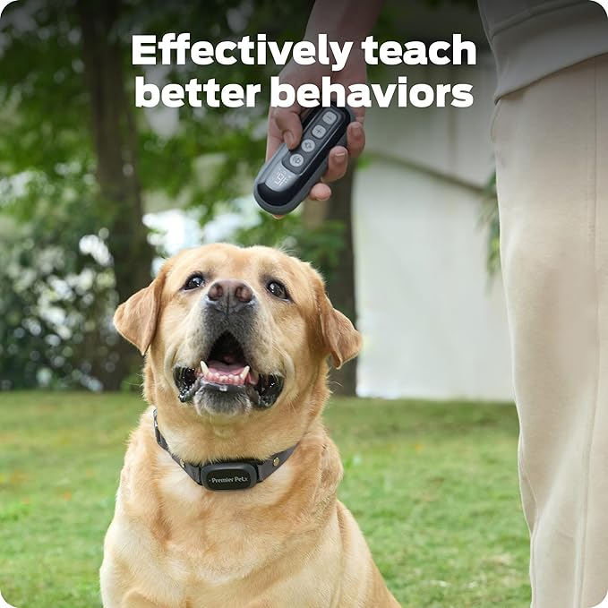 Dog Static Collar - 1000ft Dog Training Collar with Remote Dogs - Rechargeable Waterproof with 3 Training Modes - Tone Vibration & 16 Levels of Safe Static