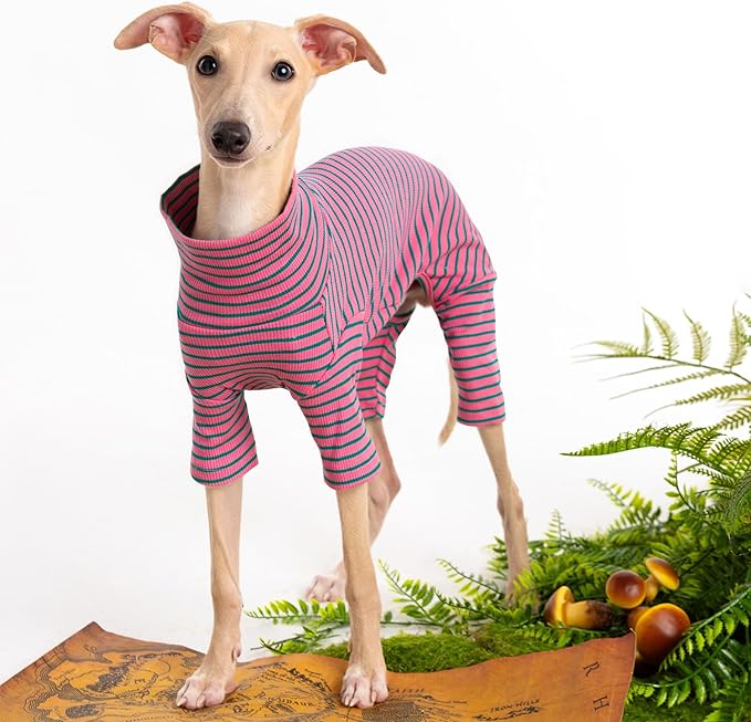 Dog Sweaters for Small Dogs Girls Boys, Striped Pet Sweaters for Fall Winter Dog Clothes, Turtleneck Pullover Knitwear for Small Medium Large Dogs