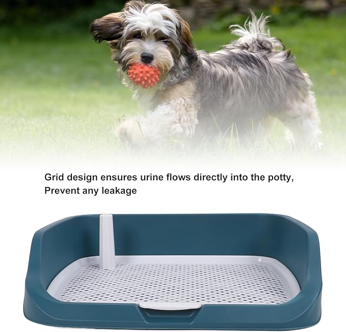 Fabater Dog Potty Toilet Training Tray, Portable Multifunctional Mesh Puppy Training Toilet Pad Holder with Bafflel for Small Dogs Puppies (Peacock Blue)