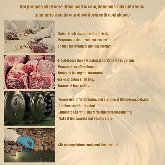 Freeze Dried Cat Treats - 100% Duck Breast Grain Free Raw - Natural Balance Limited Ingredient High Protein Cat Snack 115g/4.1oz - Picky Eater Challenger