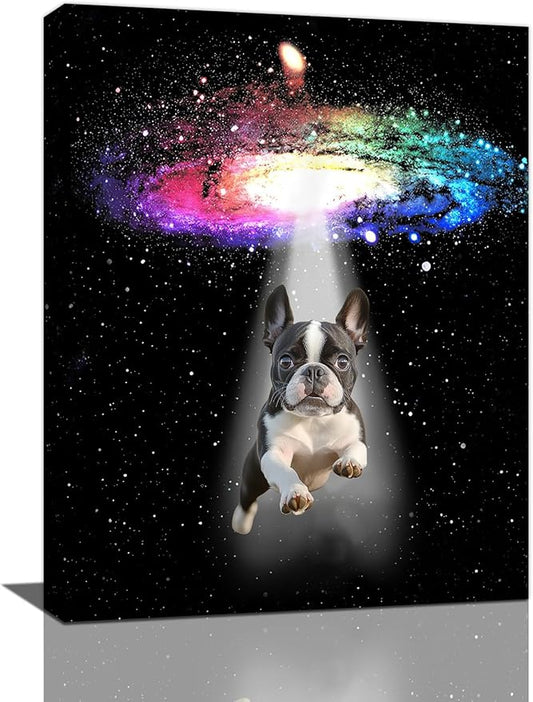 Funny Dog Wall Art Canvas Boston Terrier Wall Decor Prints Framed Painting Bulldog Galaxy Pictures Gifts Artwork for Bathroom 12"x16"