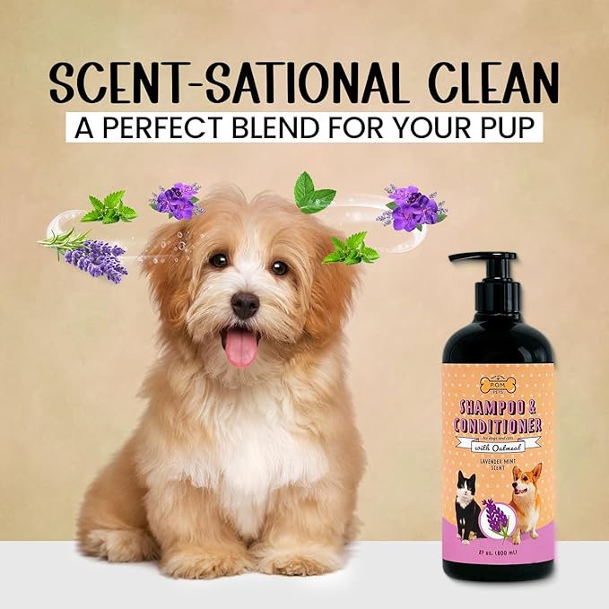 POM Pets 2-in-1 Organic Dog Shampoo & Conditioner – Itchy Skin Relief, Dog Deshedding, Detangles Fur, Cat Shampoo, Paw Cleaner for Dogs, Natural Coat Defense Formula