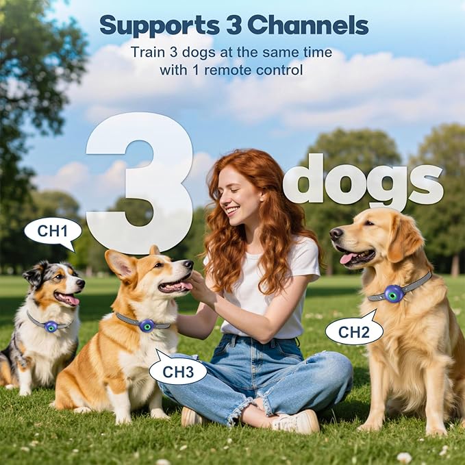 Dog Shock Collar, Dog Training Collar with Remote 2600FT, IPX7 Waterproof Rechargeable E-Collar, 3 Training Modes for All Breeds 10-120lbs (Blue)