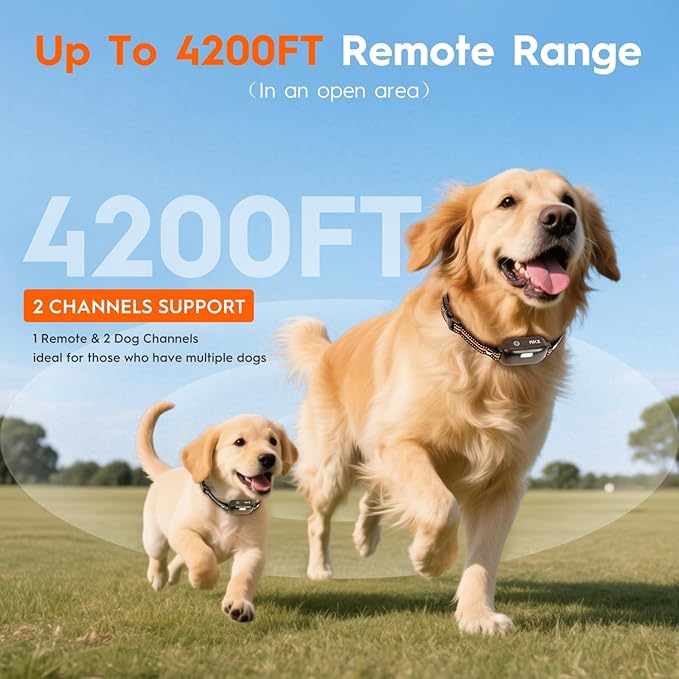 Dog Shock Collar 2 Dogs (15-120Lbs),4200FT Dog Training Collar with Remote IPX7 Waterproof Shock Collar for Small Medium Large Dogs with Flashlight, Anti-Bark Collar,4 Training Modes