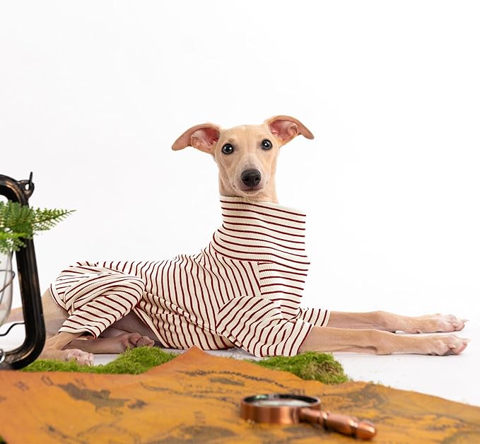 Dog Sweaters for Small Dogs Girls Boys, Striped Pet Sweaters for Fall Winter Dog Clothes, Turtleneck Pullover Knitwear for Small Medium Large Dogs