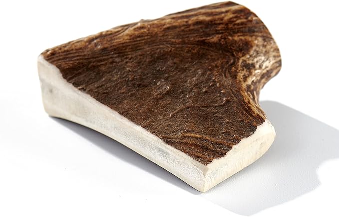 Buck Bone Organics Dog Chews, Moose Antlers for Dogs, Long Lasting Dog Bones for Aggressive Chewers, All Natural, No Preservatives, Wild Shed in The USA (Medium)