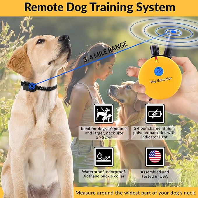 Educator E-Collar Humane Dog Training Collar with Remote, 100 Safe Tapping Stimulation Levels, Night Light, Waterproof, Rechargeable, 3/4 Mile 2 Small-Medium Dogs, Yellow