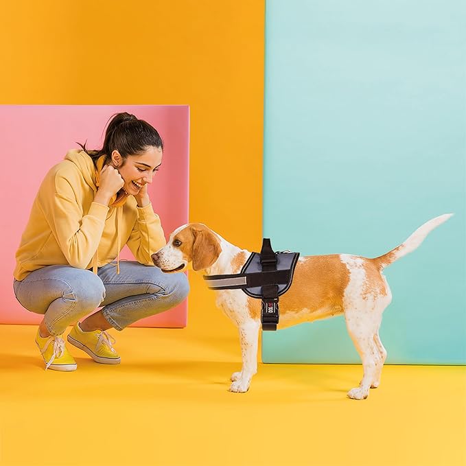 Dogline Dog Harness, Reflective No-Pull Adjustable Vest with Handle for Walking, Training, Breathable, No - Choke Harness for Small, Medium or Large Dogs Room for Patches Girth 15 to 18 in Grey