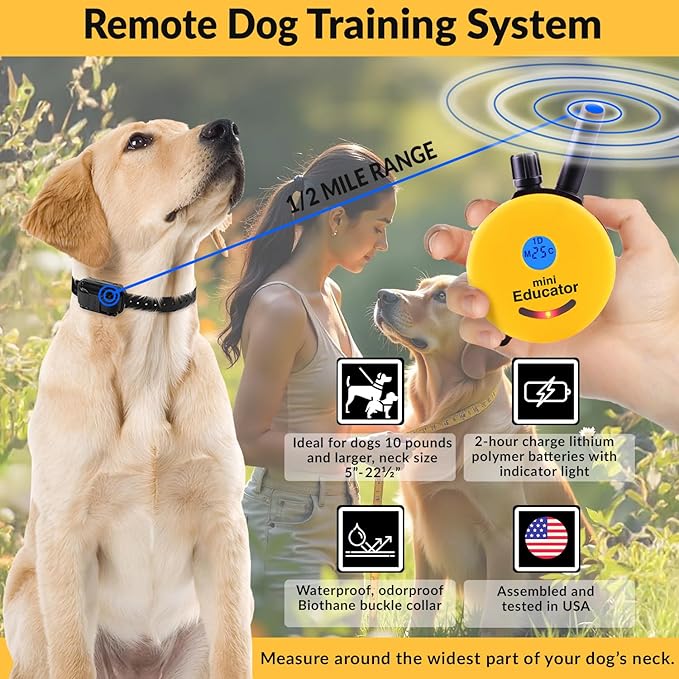 Educator E-Collar Humane Dog Training Collar with Remote, 100 Safe Tapping Stimulation Levels, Night Light, Waterproof, Rechargeable, 1/2 Mile 1 Small-Medium Dog, Yellow