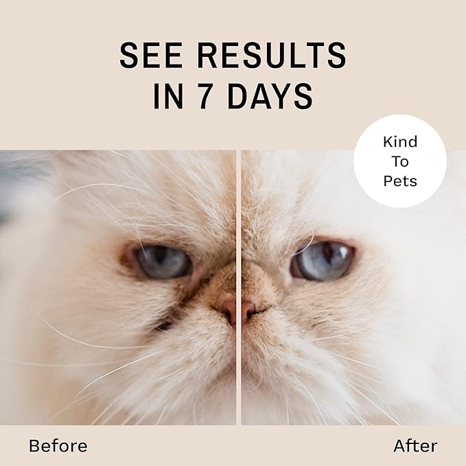 Eye Envy Tear Stain Remover Powder for Dogs and Cats. 100% Natural, Safe. Apply Around Eyes. Absorbs and Repels Tears. Keeps Area Dry. Treats The Cause of Staining. Made in The USA. (.5 oz)