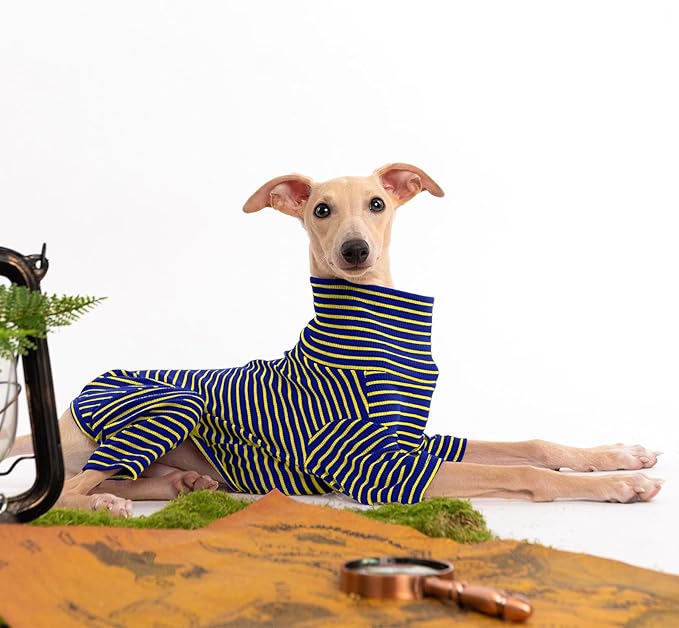 Dog Sweaters for Small Dogs Girls Boys, Striped Pet Sweaters for Fall Winter Dog Clothes, Turtleneck Pullover Knitwear for Small Medium Large Dogs