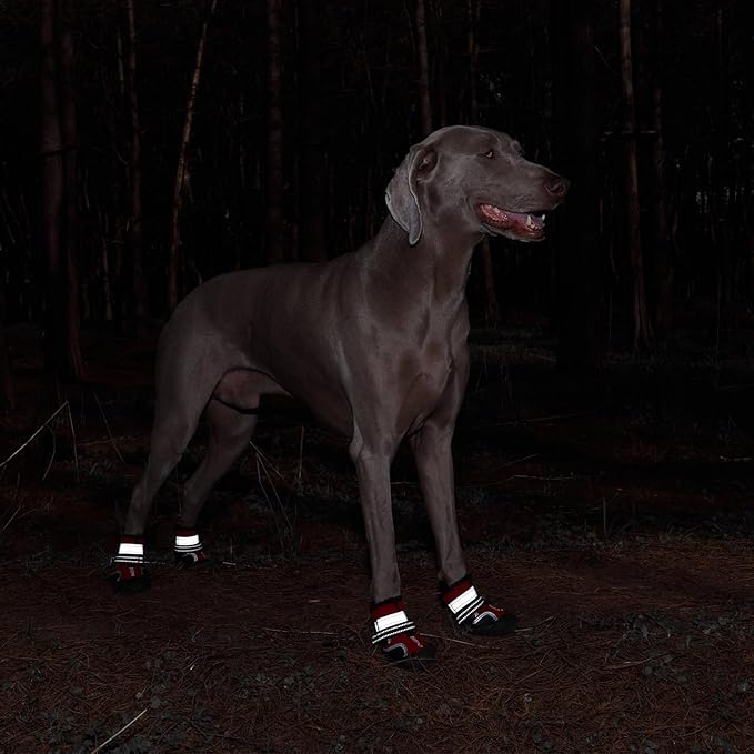 Dog Shoes, Waterproof Dog Boots & Paw Protectors with Anti-Slip Sole, 4pcs/Set Pet Dog Booties, Reflective Dog Shoes for Small Medium Large, Winter Snowy Summer Hot Pavement (Red, 5# (M))