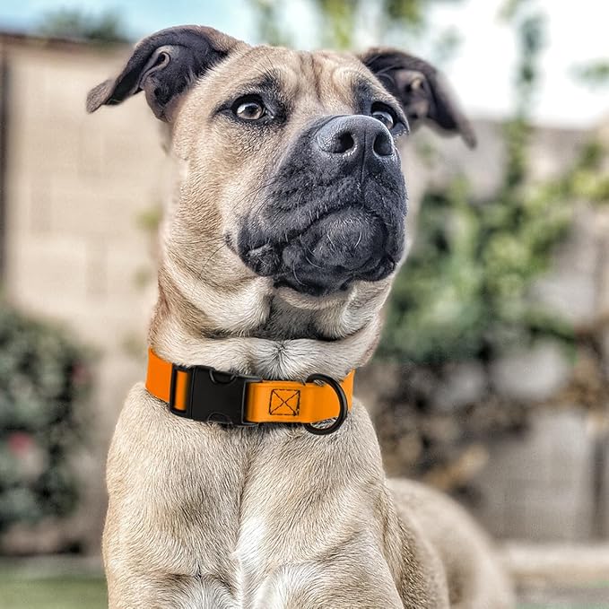 Dogline Biothane Waterproof Dog Collar with Quick Release Buckle Strong Coated Nylon Webbing with Odor- Proof for Easy Care Easy to Clean Fits Small Medium Large Dogs, Tangerine Orange 5/8" W 9-14" L