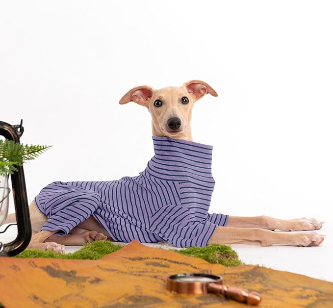 Dog Sweaters for Small Dogs Girls Boys, Striped Pet Sweaters for Fall Winter Dog Clothes, Turtleneck Pullover Knitwear for Small Medium Large Dogs