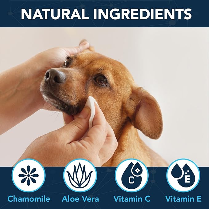 NOVEHA Dog Eye Wipes - Tear Stain Remover for Dogs - Formulated to Remove Eye Debris, Tear Stains & Eye Discharge - Plant Based, Safe, Convenient, and Large Unscented Wipes (100 Count x 3 Packages)
