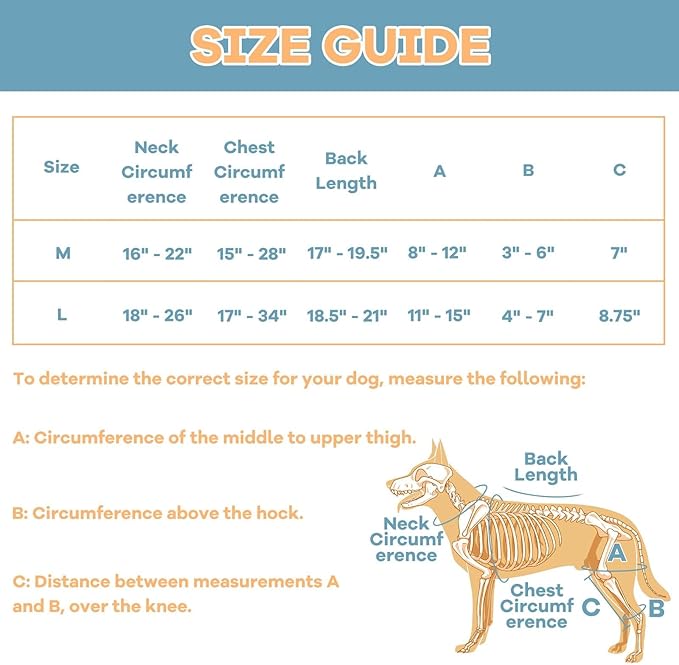 Dog Knee Brace with Adjustable Support – ACL & CCL Tear Recovery, Post-Surgery Stabilization, Mobility Aid for Rear Legs – Includes Secure Chest Harness for Dogs(Right,L)